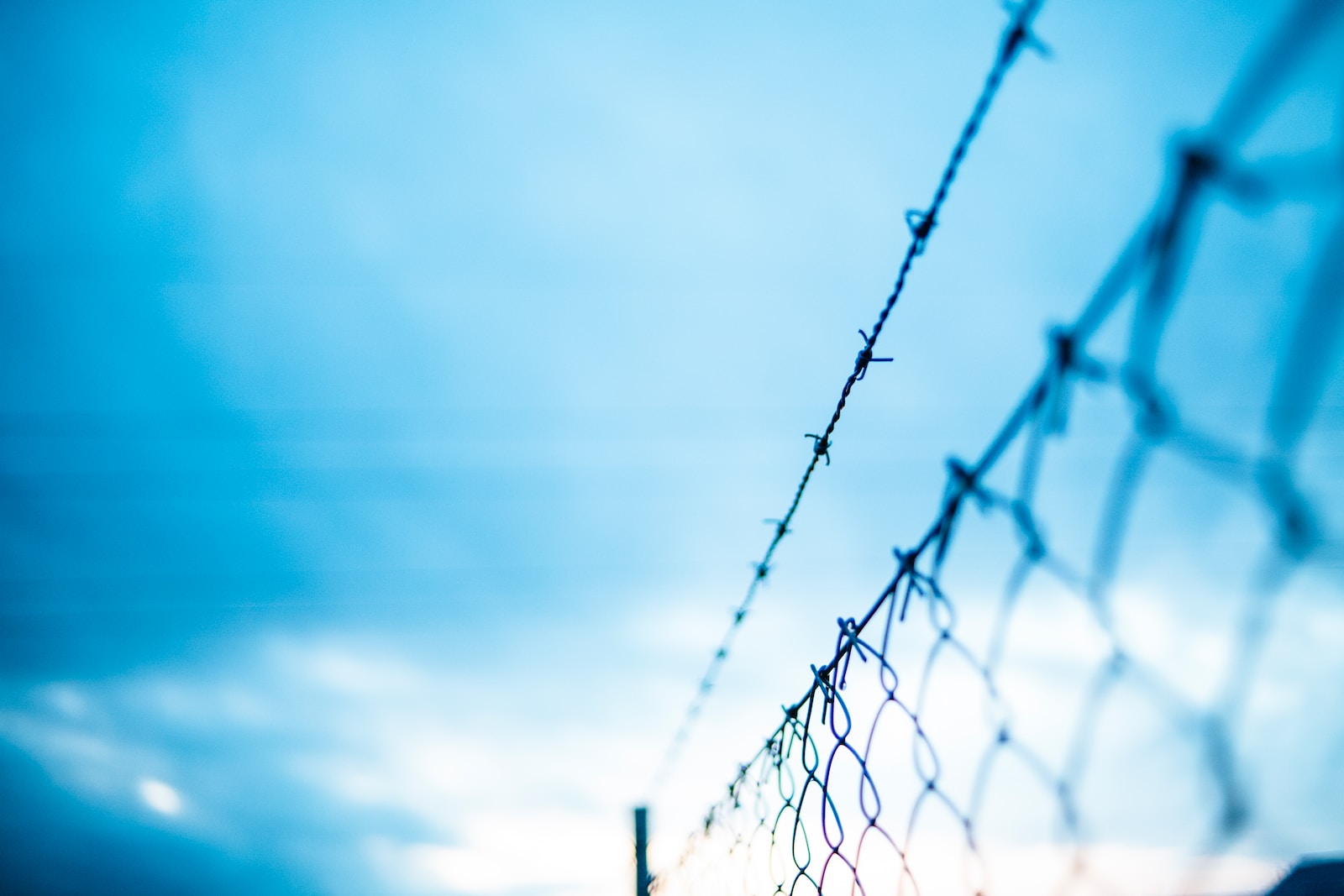 barbed wire